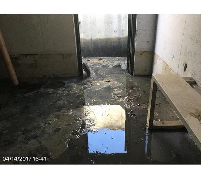 Water damage in basement