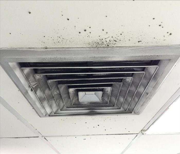 Mold growth around air ducts