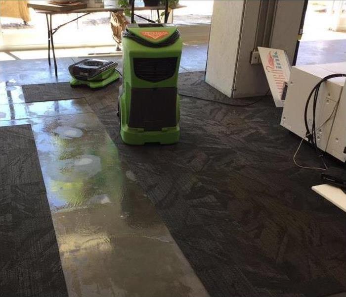Air mover and dehumidifier placed on carpet
